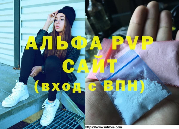 стаф Козловка