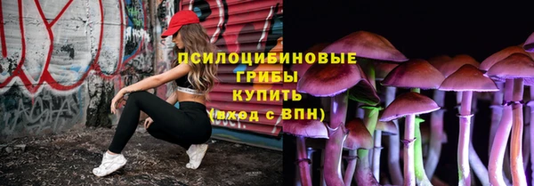 твердый Осташков