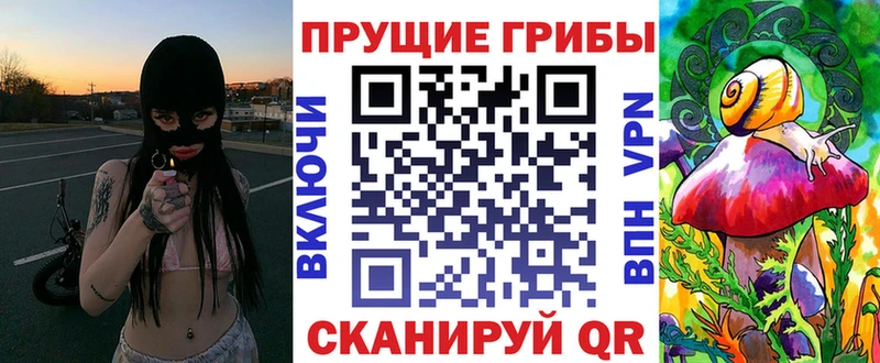 Псилоцибиновые грибы Cubensis  гидра ссылка  Томск  где найти наркотики 