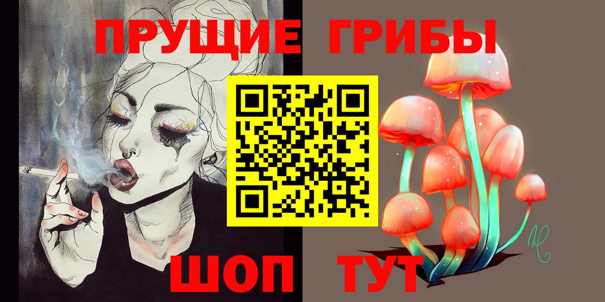 Галлюциногенные грибы Psilocybe  Вход с VPN  Томск 