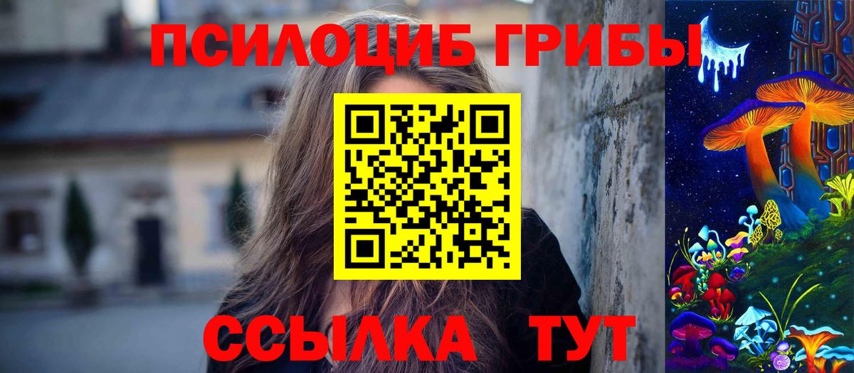 Галлюциногенные грибы Psilocybe  Псилоцибиновые грибы мухоморы  что такое наркотик  Томск 